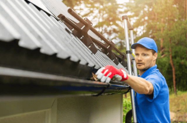 lake oswego gutter service